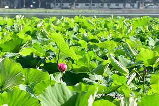 19年申花足协杯冠军！队长莫雷诺跪行百米感谢球迷！